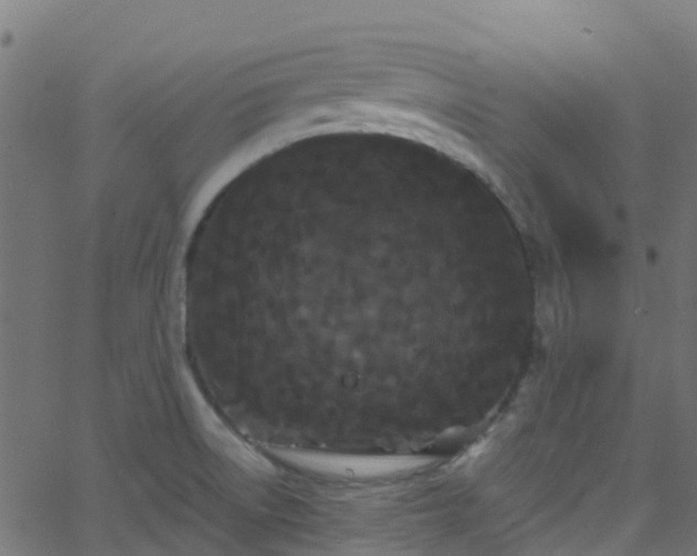 X0000068771522200605011014