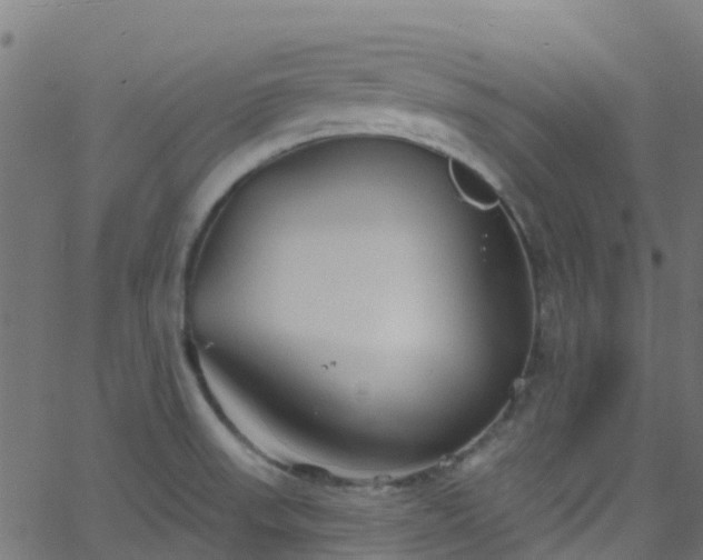 X0000068771523200605011014