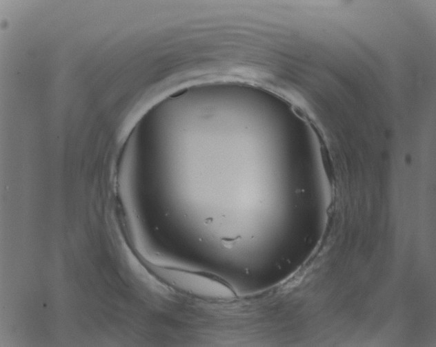 X0000068771524200605011014