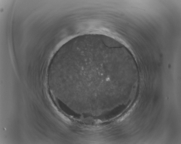 X0000068771525200605011014