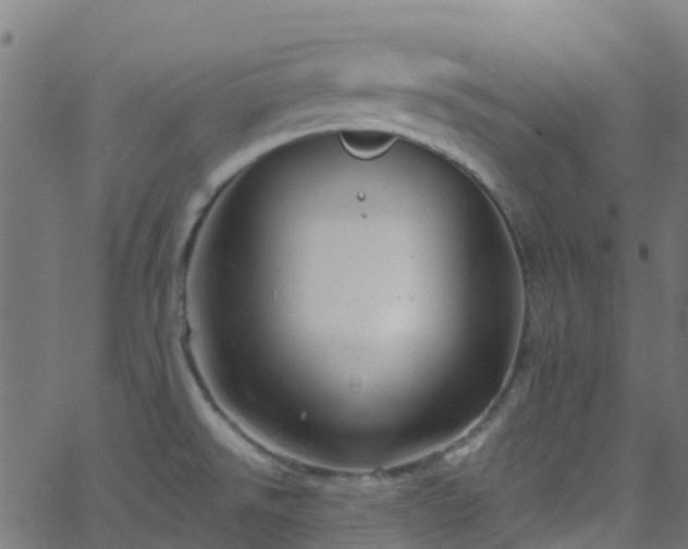 X0000068771526200605011014