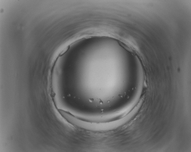 X0000068771528200605011014