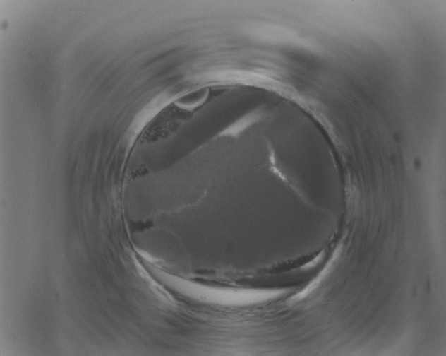 X0000068771529200605011014