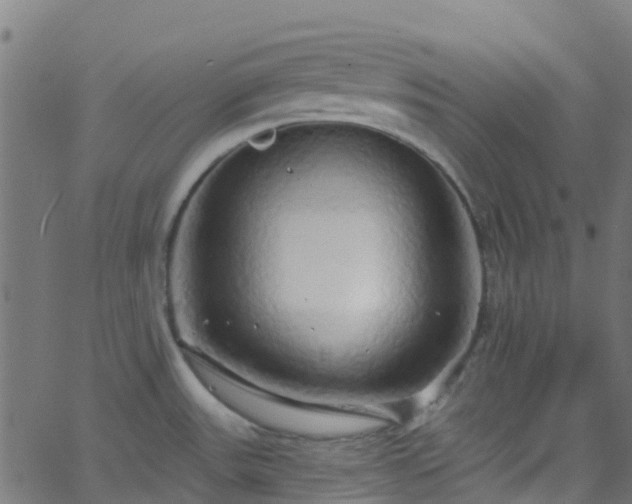 X0000068771531200605011014