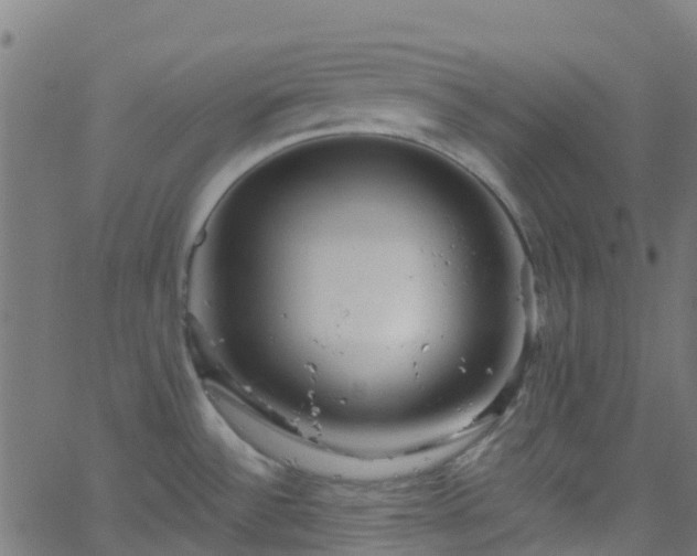 X0000068771532200605011014