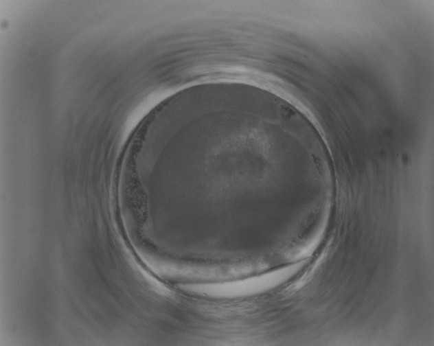 X0000068771533200605011014