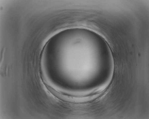 X0000068771534200605011014