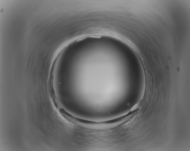 X0000068771536200605011014