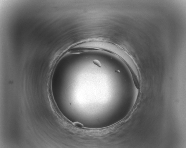 X0000068770001200605051644