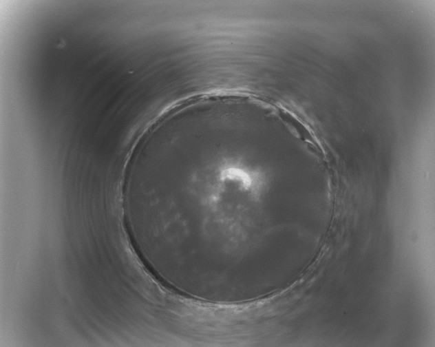 X0000068770002200605051643