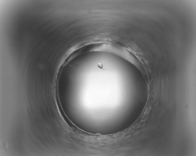 X0000068770003200605051643