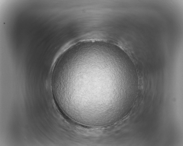 X0000068770004200605051643