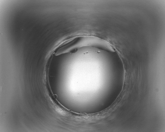 X0000068770005200605051643