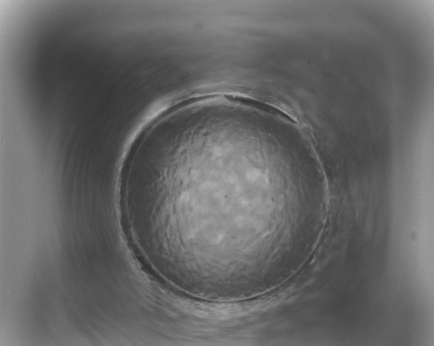 X0000068770006200605051643