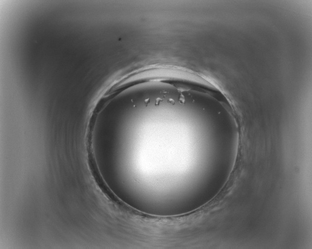 X0000068770007200605051643