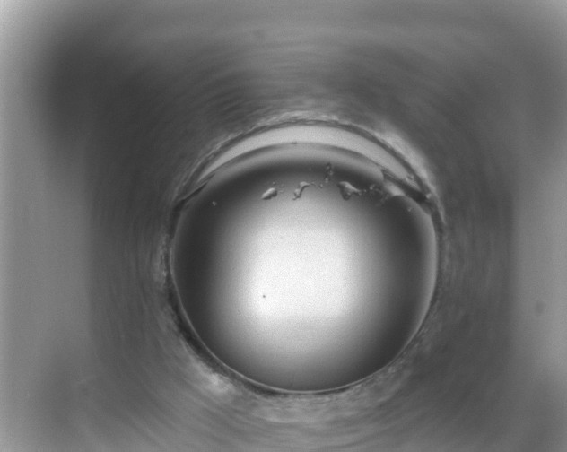 X0000068770009200605051643