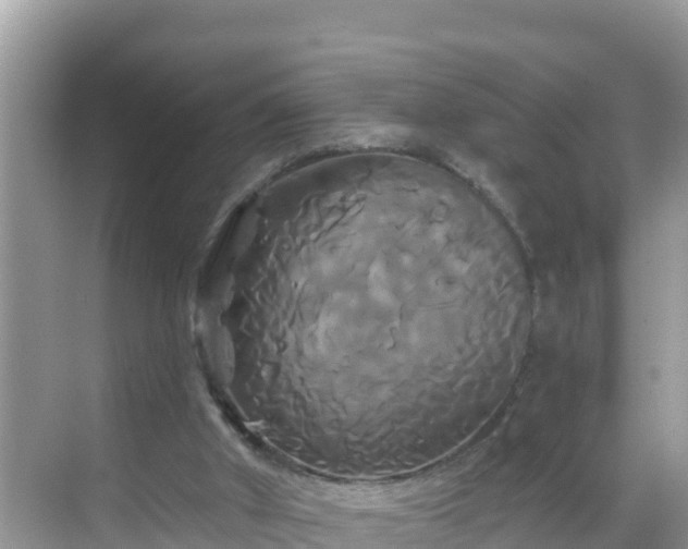 X0000068770010200605051643