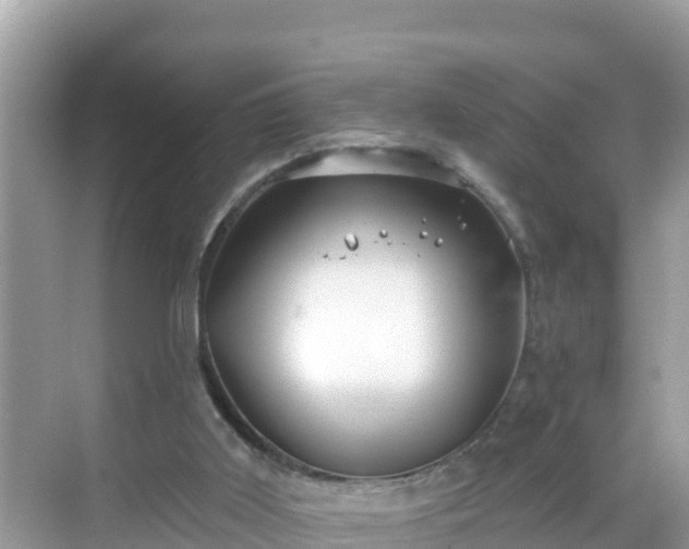 X0000068770011200605051643