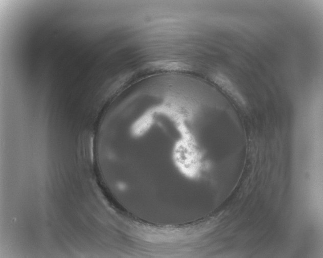 X0000068770014200605051643