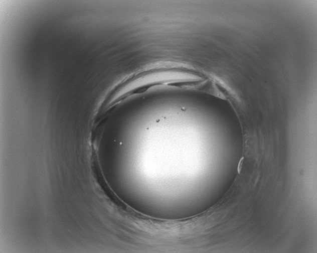 X0000068770015200605051643