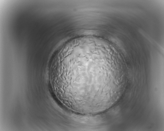 X0000068770016200605051643