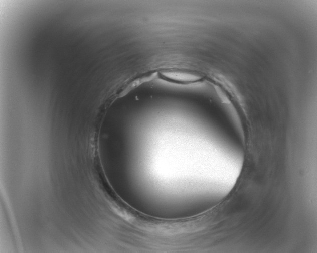 X0000068770017200605051643