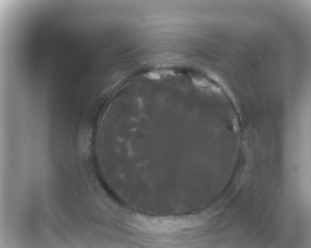 X0000068770018200605051643