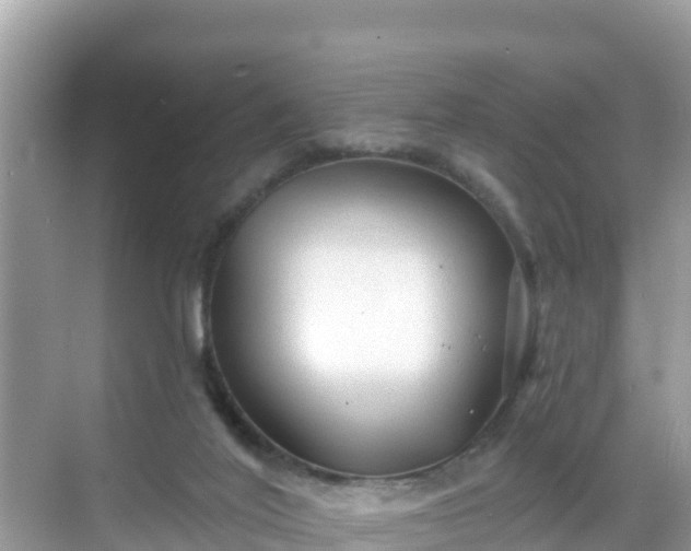 X0000068770020200605051643