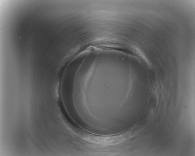 X0000068770023200605051643