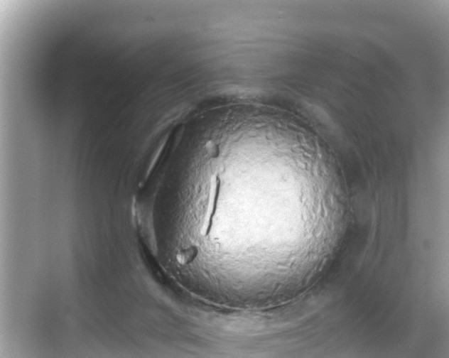 X0000068770024200605051643