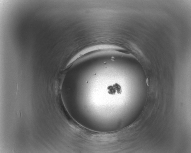 X0000068770025200605051643