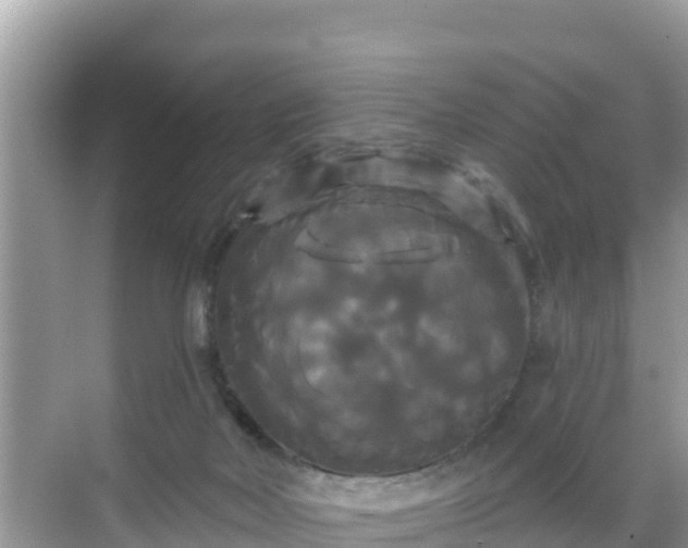 X0000068770026200605051643