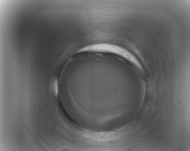 X0000068770027200605051643