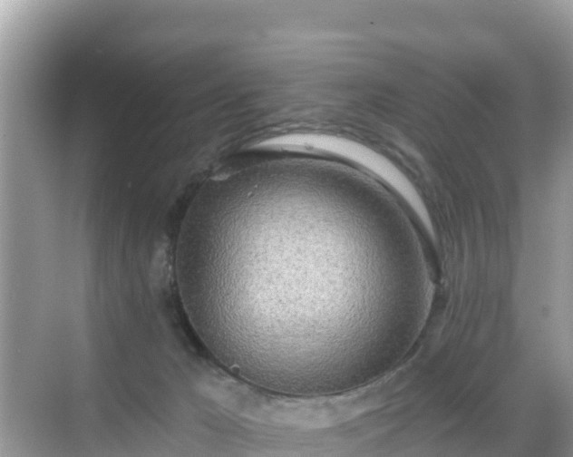 X0000068770029200605051643