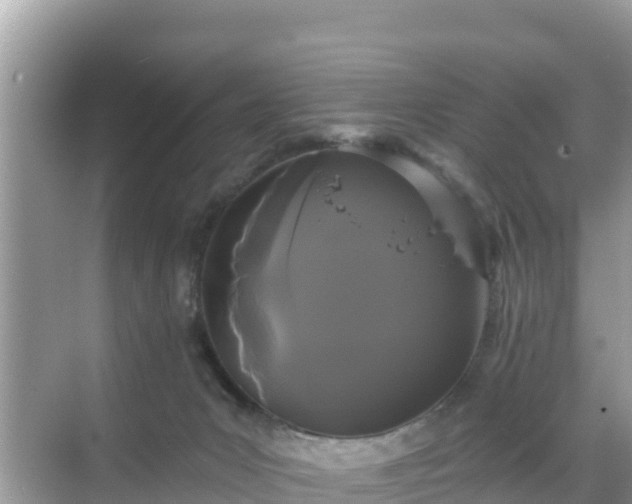 X0000068770031200605051643