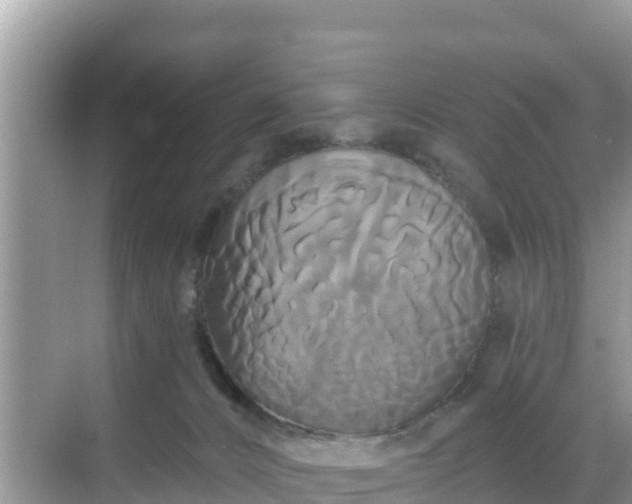 X0000068770032200605051643