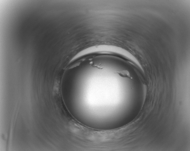 X0000068770033200605051643