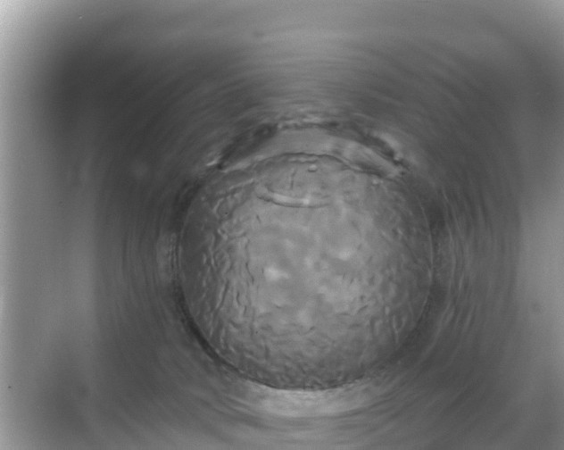 X0000068770034200605051643