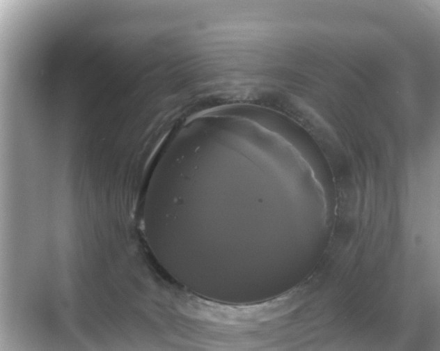 X0000068770035200605051643