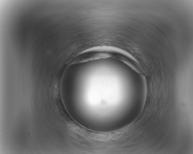 X0000068770037200605051643