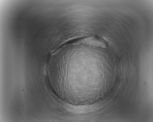 X0000068770038200605051643