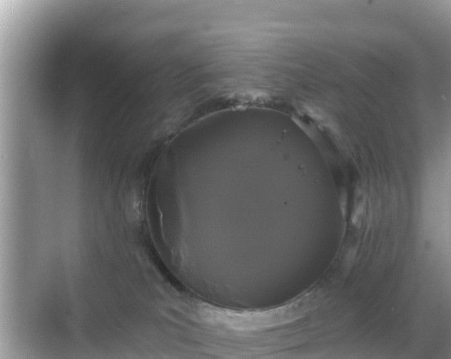 X0000068770039200605051643