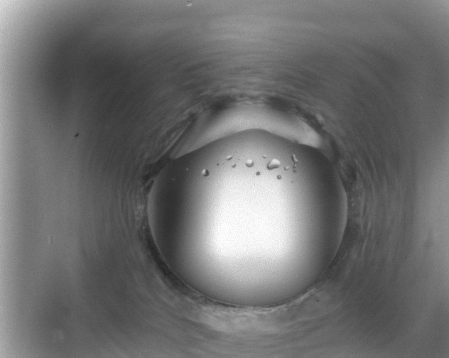 X0000068770040200605051643