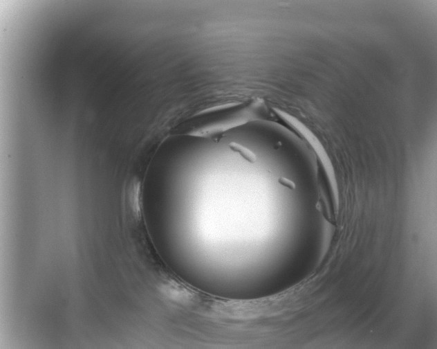 X0000068770041200605051643