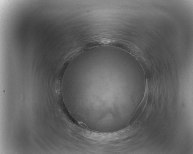 X0000068770043200605051643