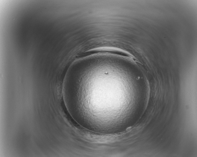 X0000068770044200605051643