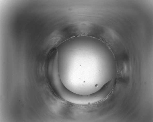 X0000068770045200605051643