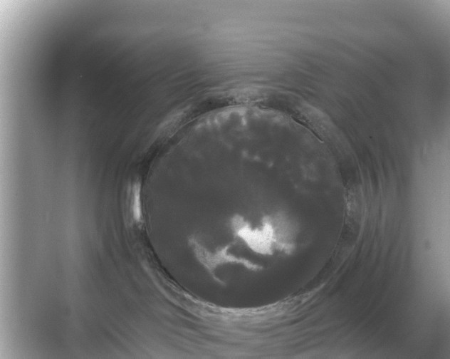 X0000068770046200605051643