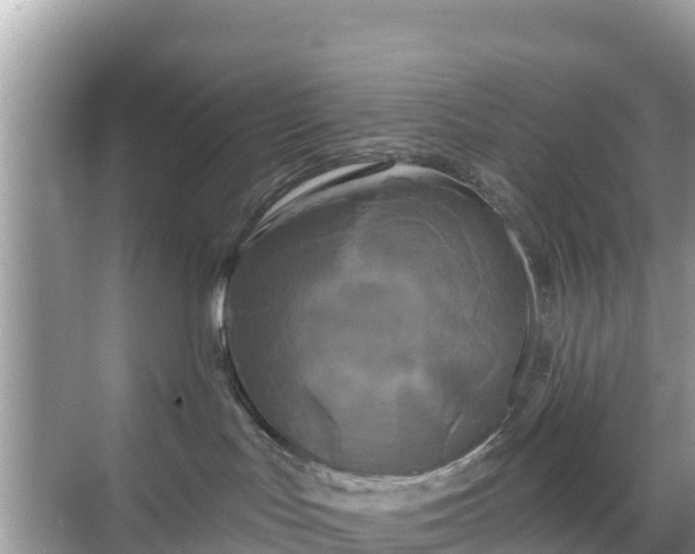 X0000068770047200605051643