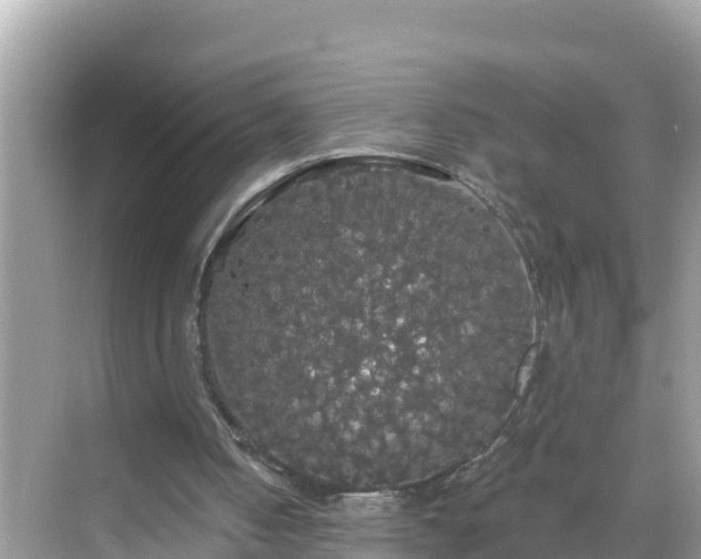 X0000068770050200605051642